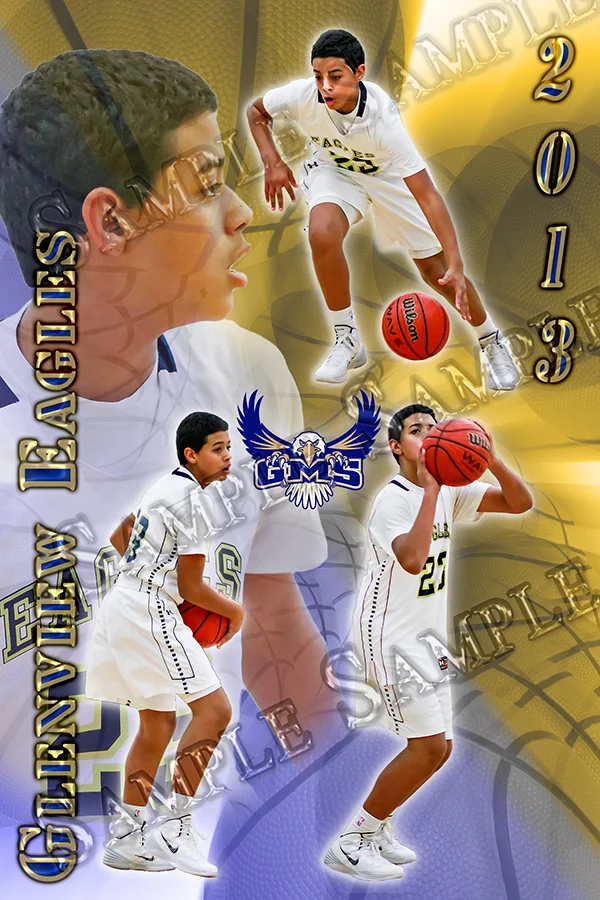 Basketball11poster_12x18glenview23.jpg