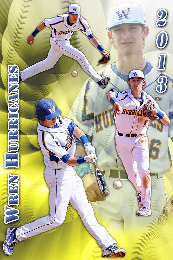 2013Baseball11poster_12x18wren6.jpg
