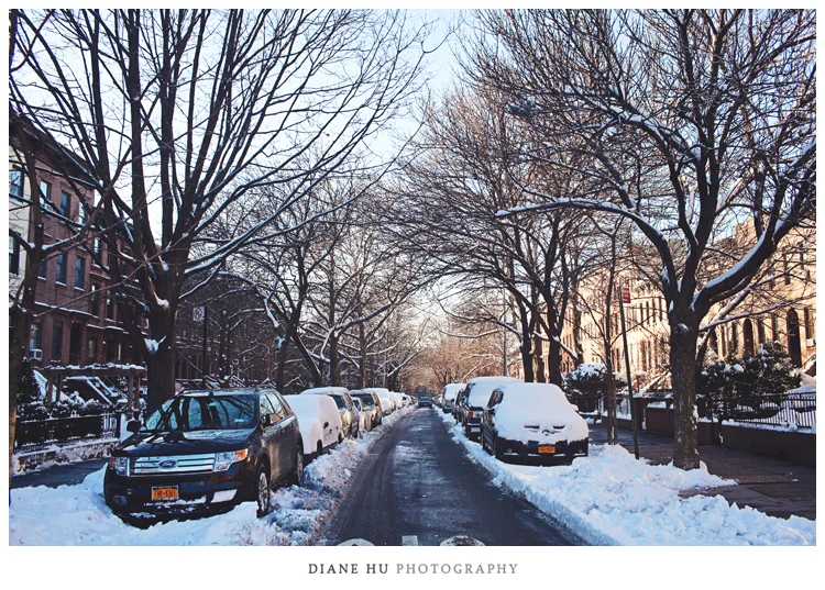 10-diane-hu-photography-nyc-wedding-nemo-storm.jpg