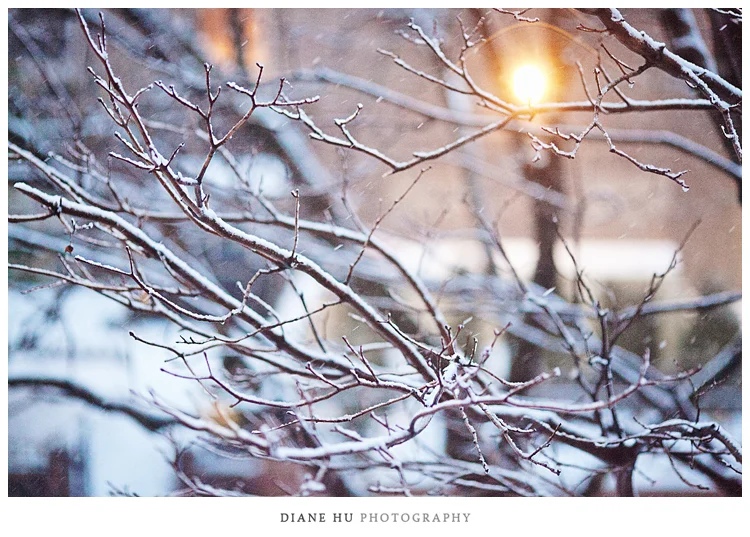 5-diane-hu-photography-nyc-wedding-nemo-storm.jpg