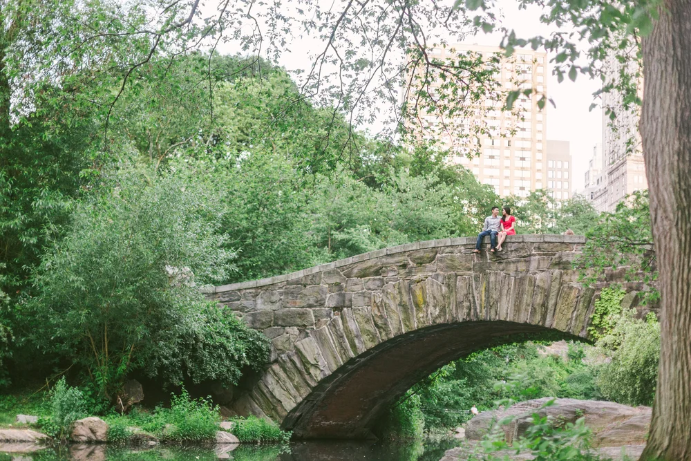 Christina + Edmond | Engaged Bryant Park + Central Park, New York City