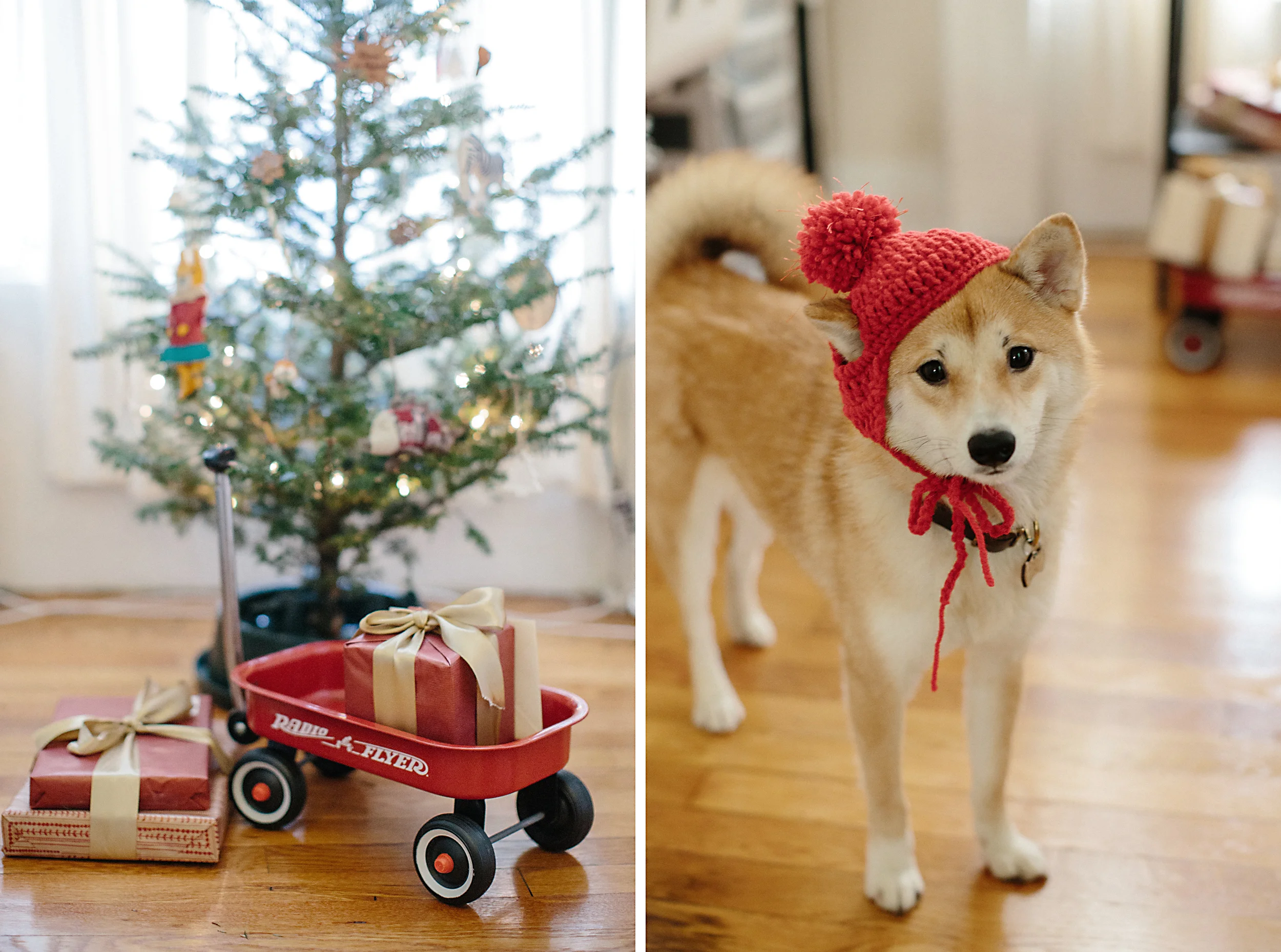 A Very Foxy Christmas