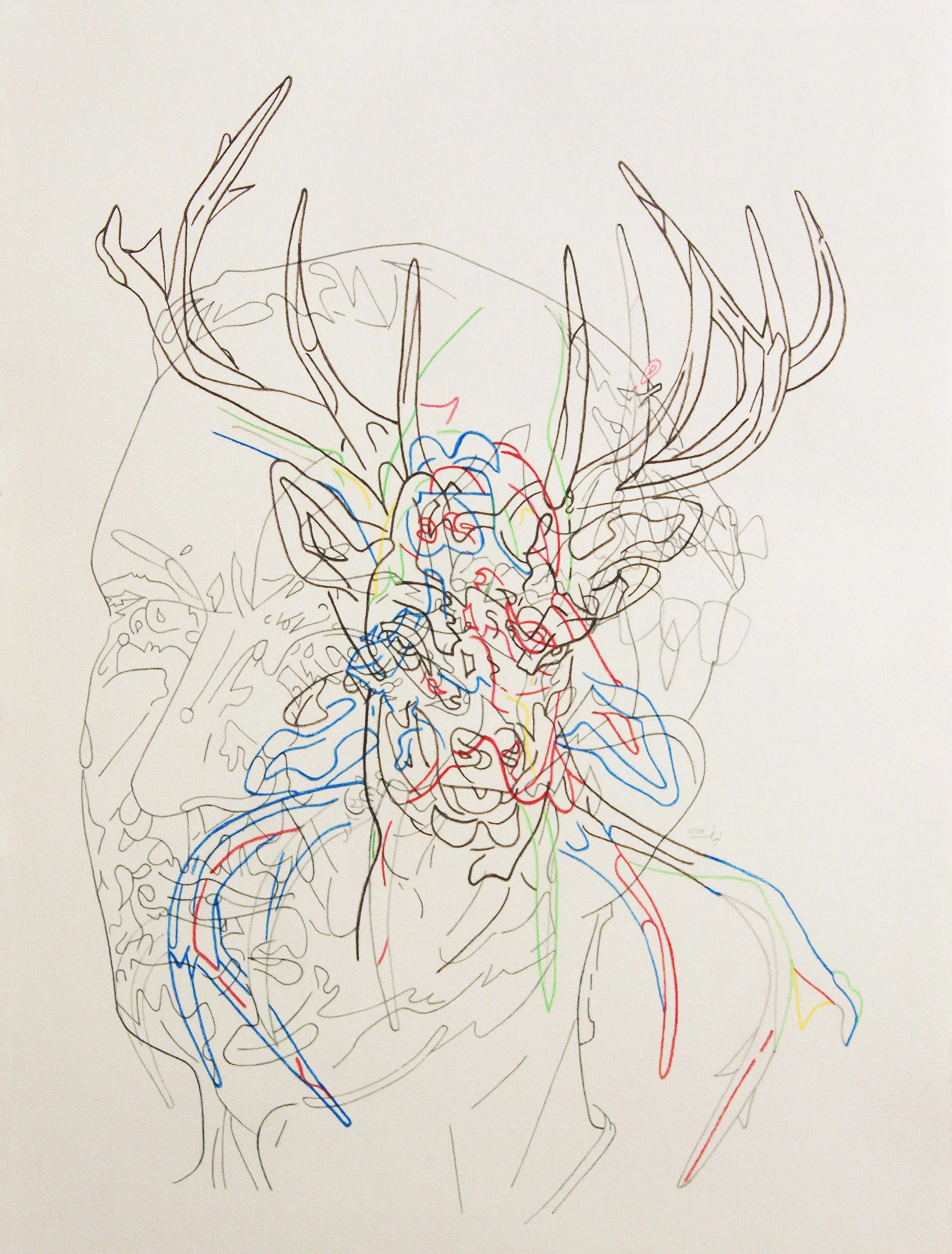 Tulips Teeth - Drawing No. 6