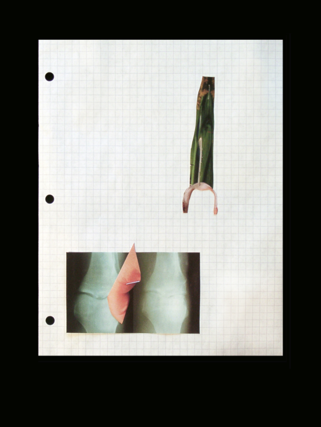 The Odyssey: Untitled # 14