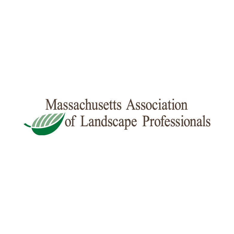 logo_mlp.jpg