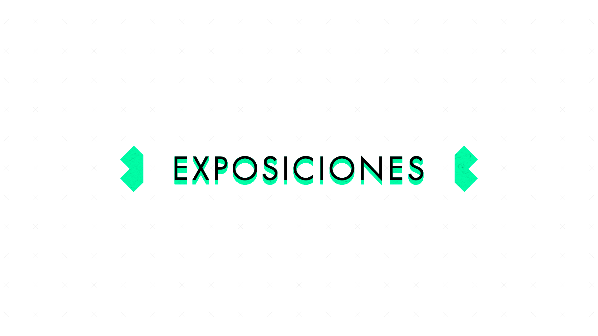 LCE-Programa-Portfolio-Exposiciones.png