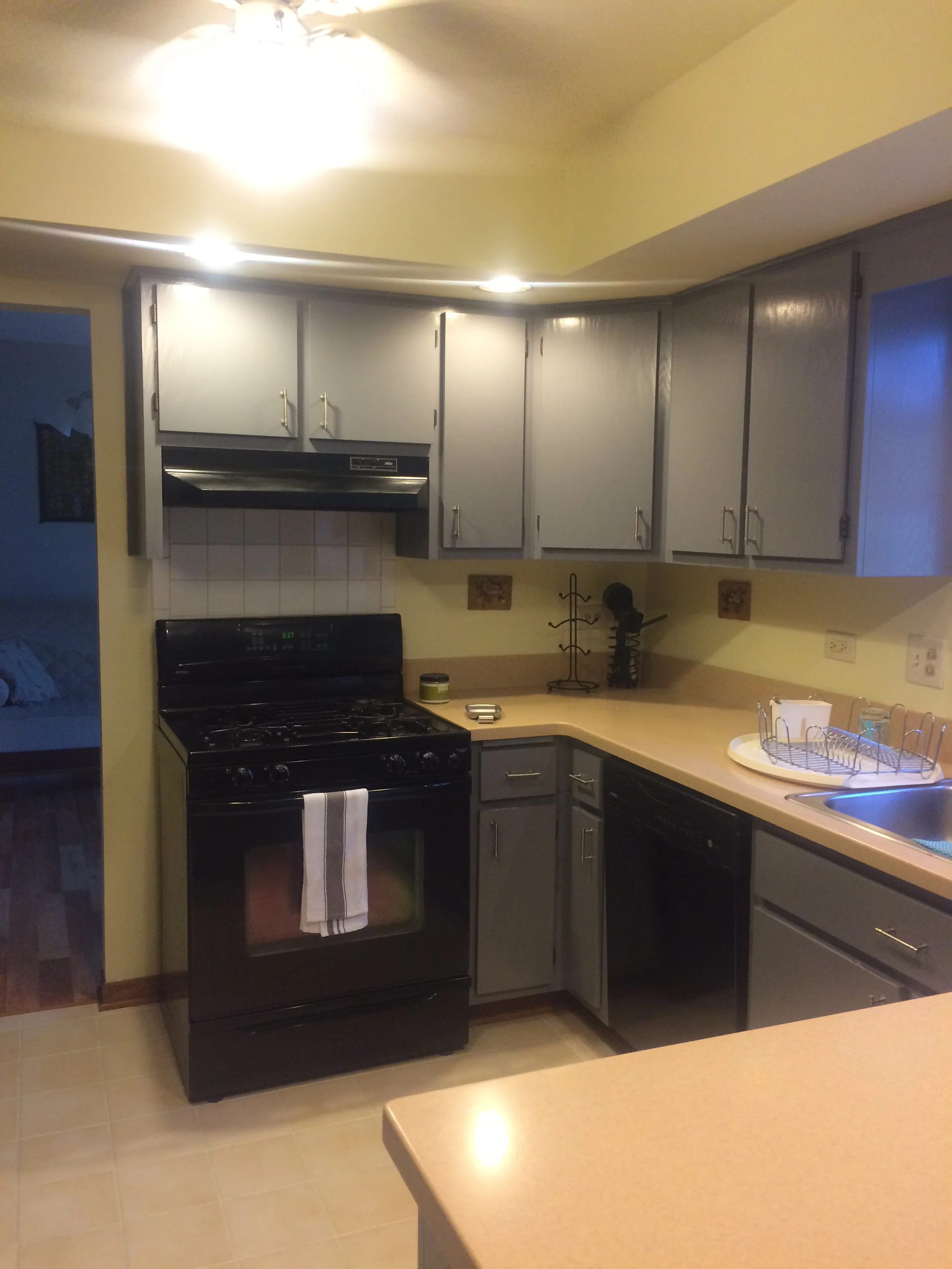 flossmoor kitchen 5 before.jpg