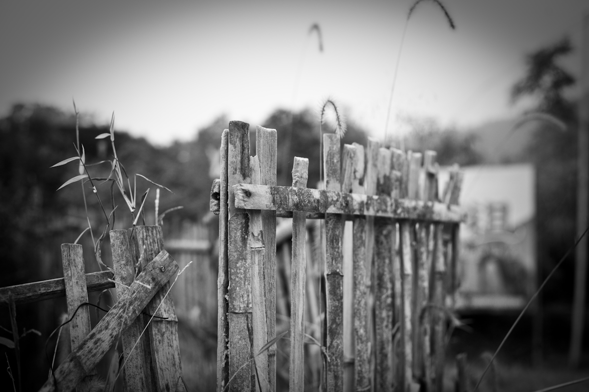 _MG_2355.jpg