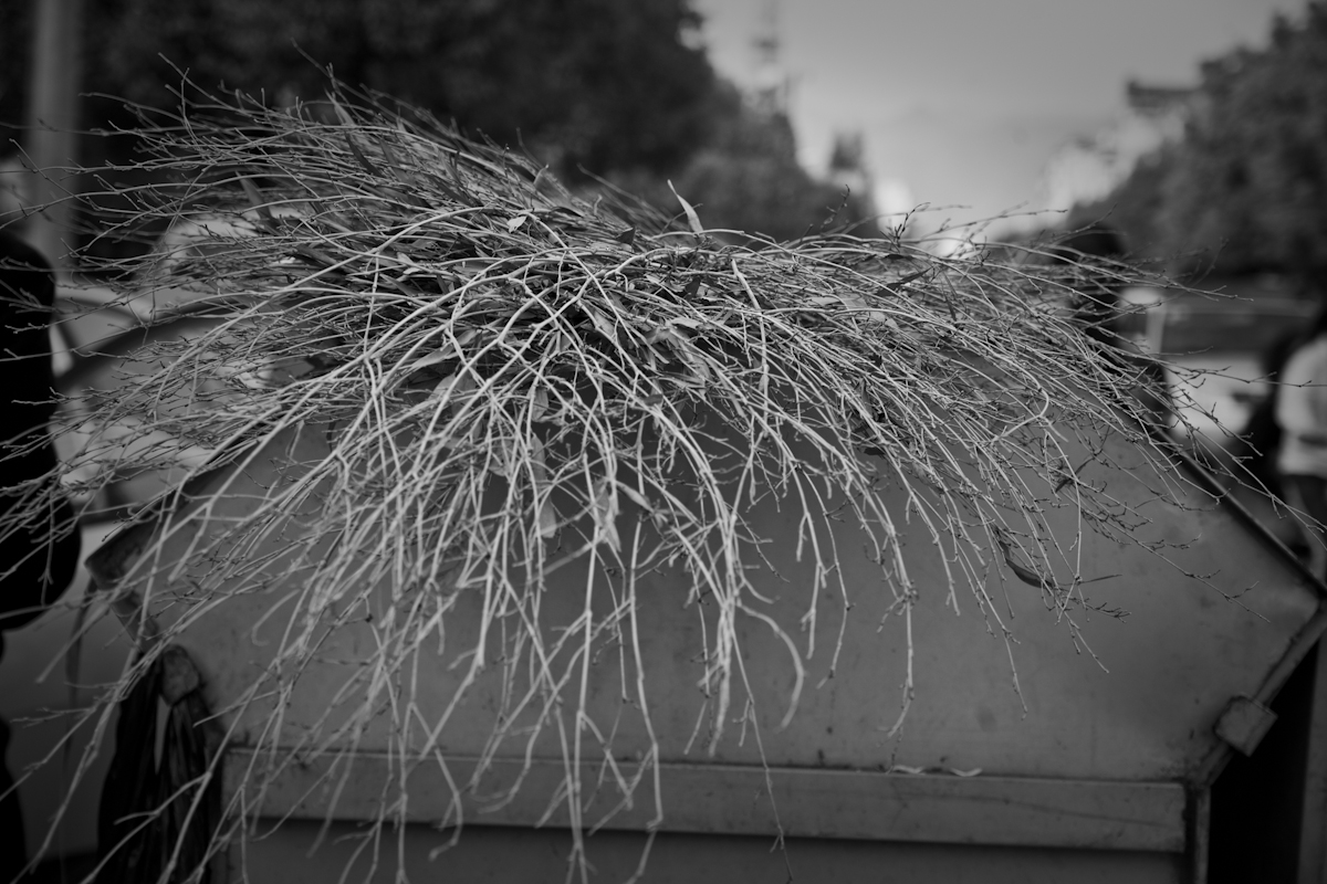 _MG_3477.jpg