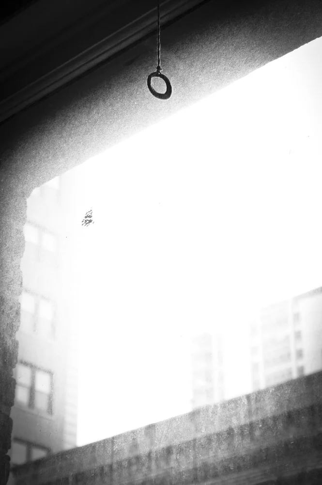 CRW_3608_2.jpg