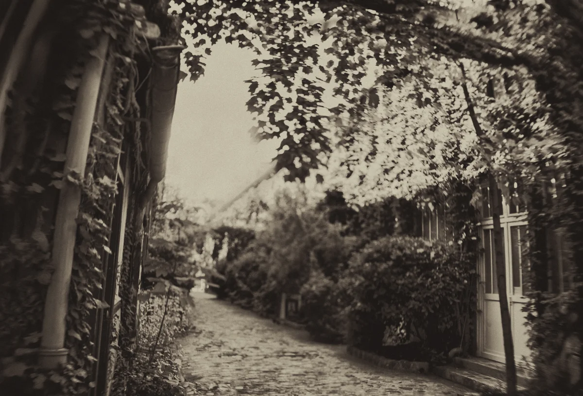 courtyard_MG_9185b.jpg
