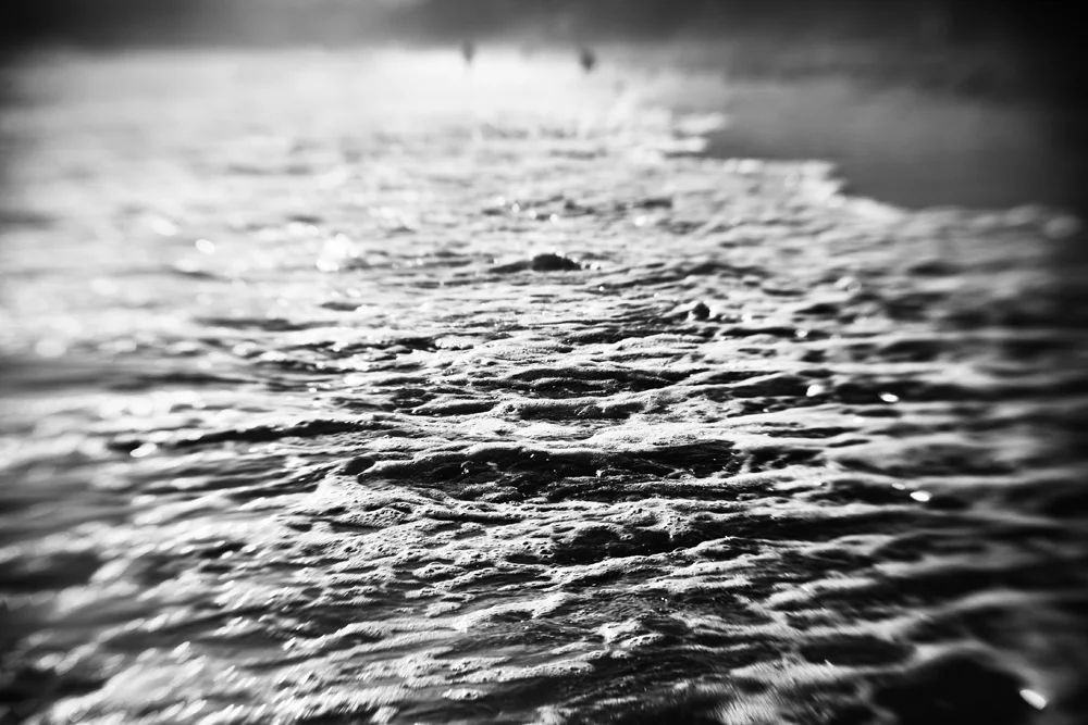 17_IN_THE_WAVES.jpg