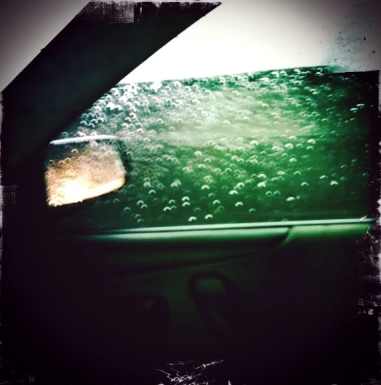 Sarah Hadley 6178.JPG