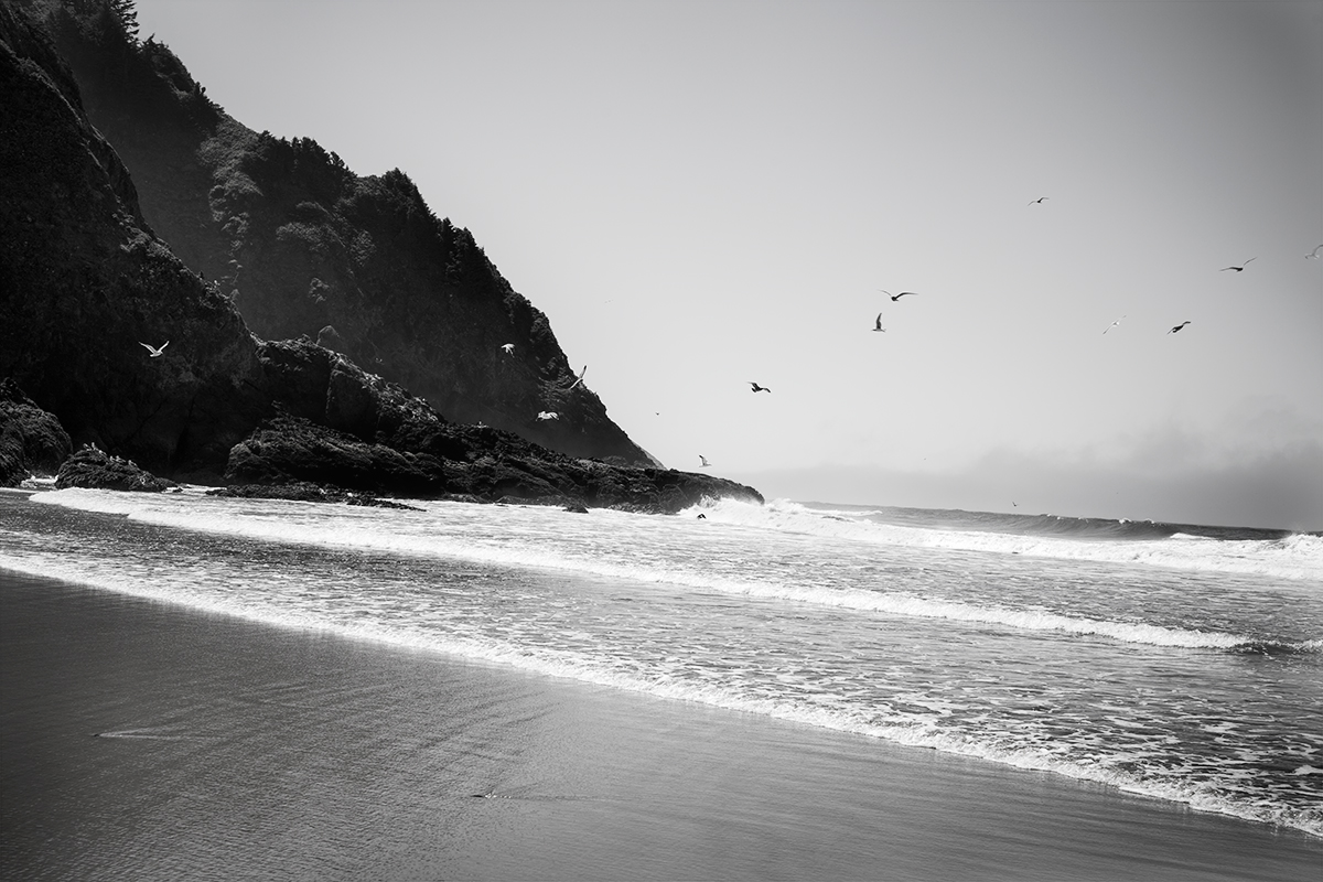 Oregon_Coast_Hadley_MG_8821.jpg