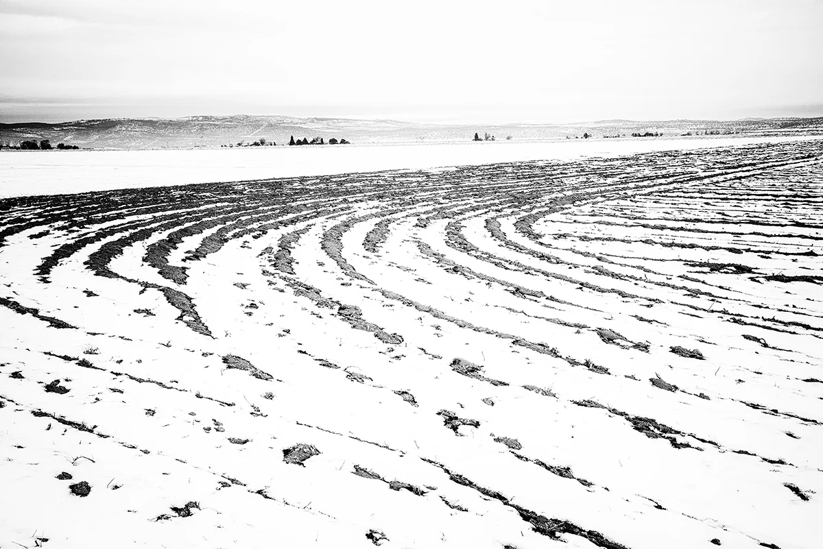 20171222_0230_Snow_circles.jpg