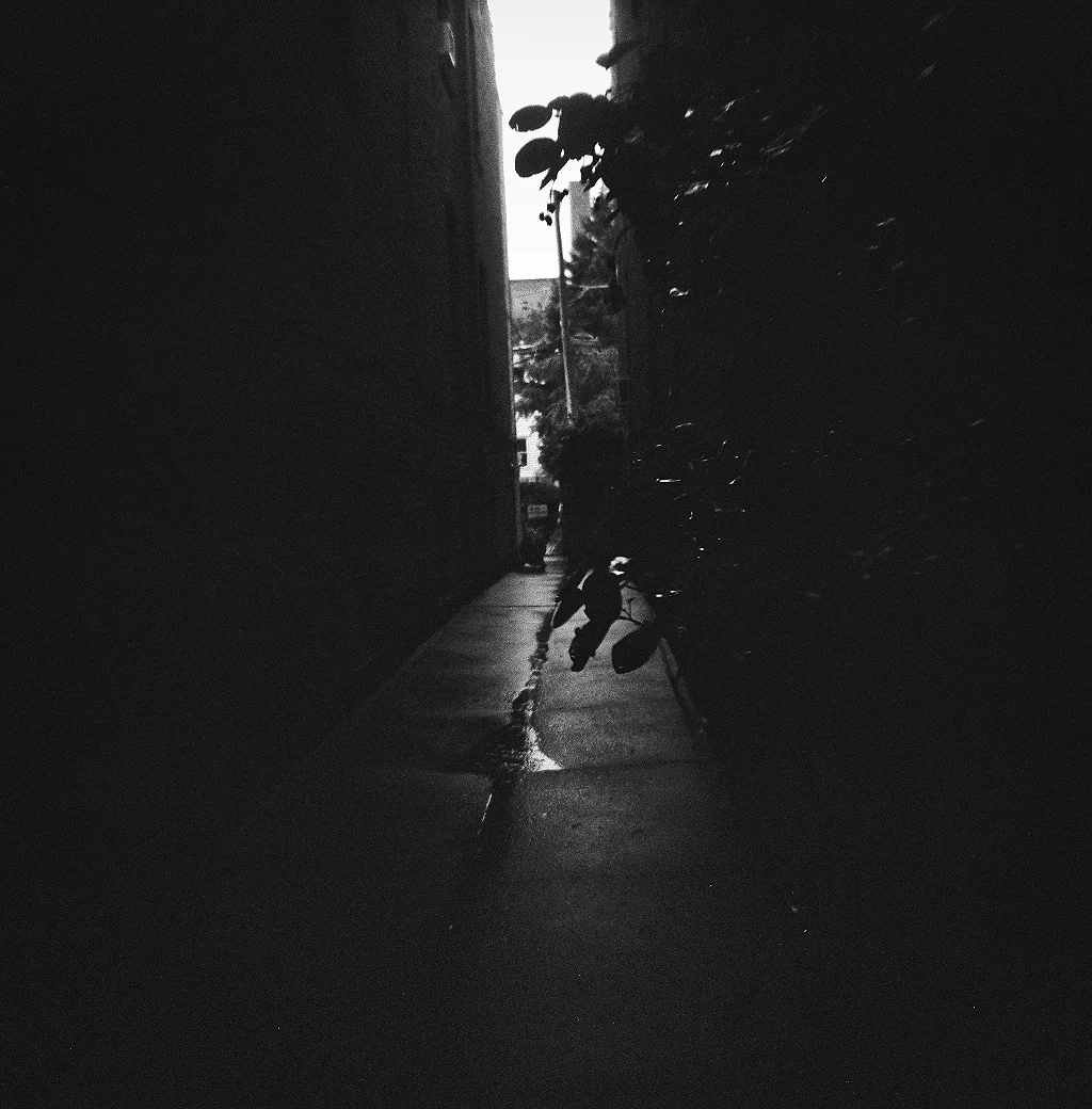 89030006.jpg