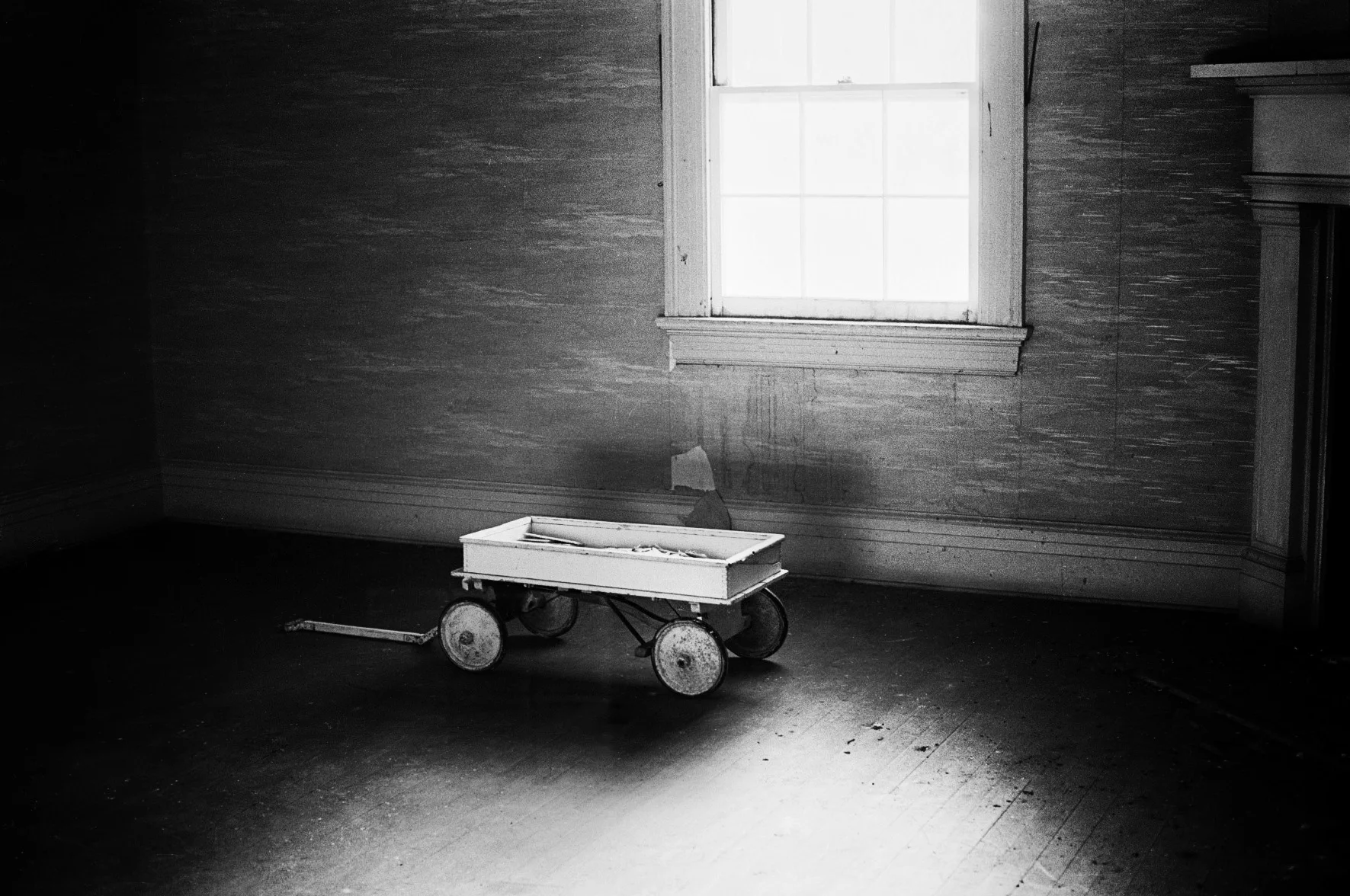 wheelbarrow.jpg