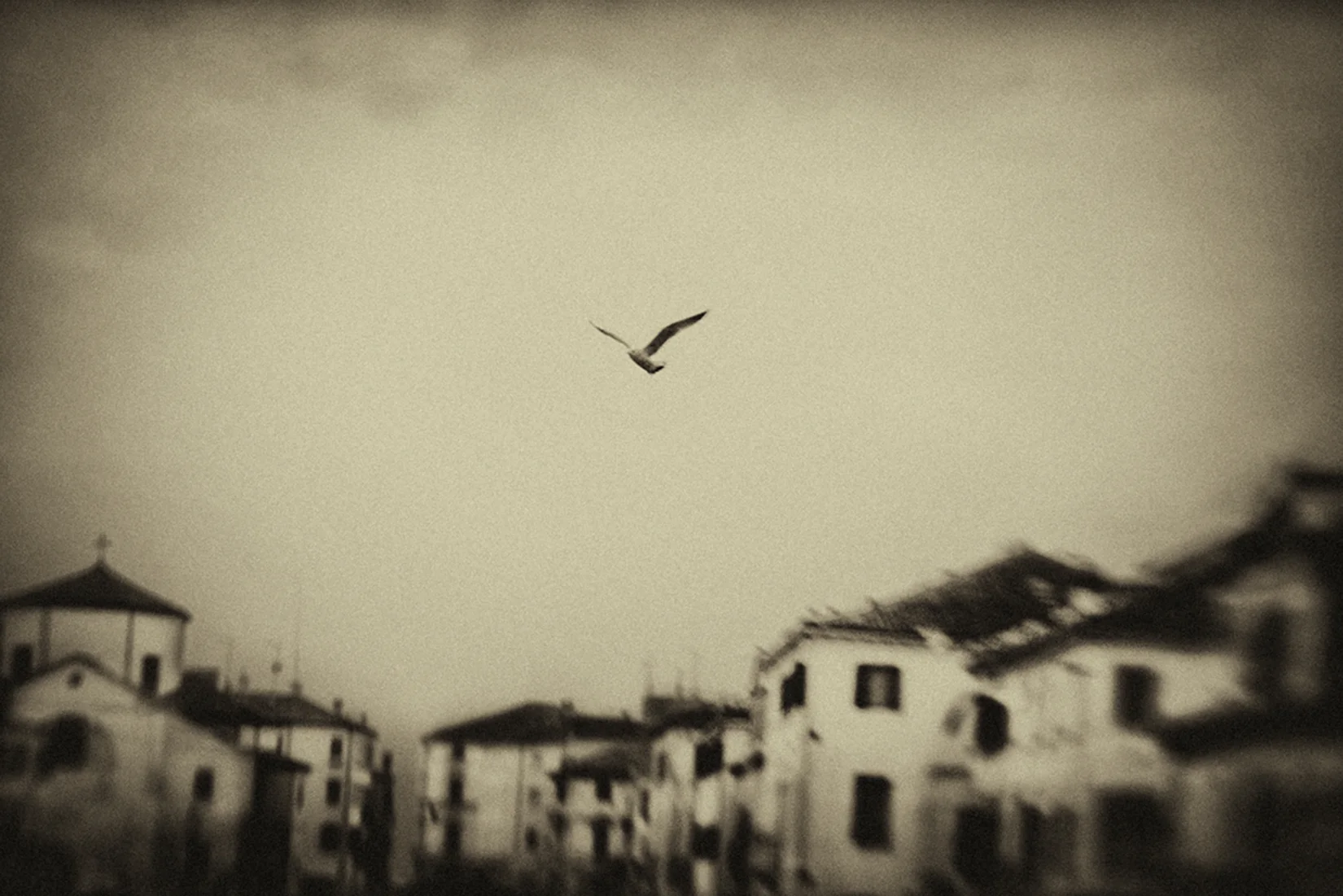 Grace_04282019.jpg