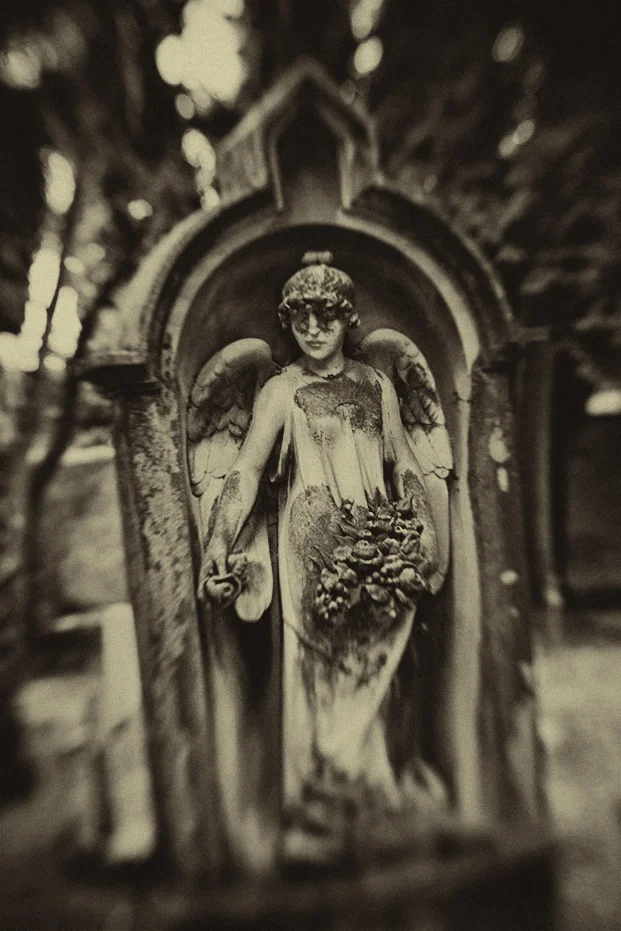 masked_angel2.jpg