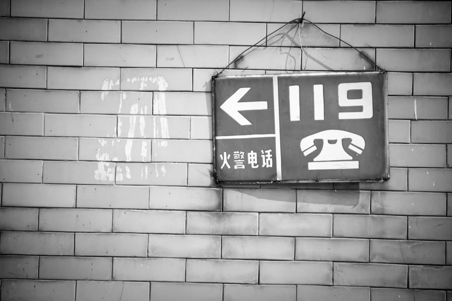 _MG_3210.jpg
