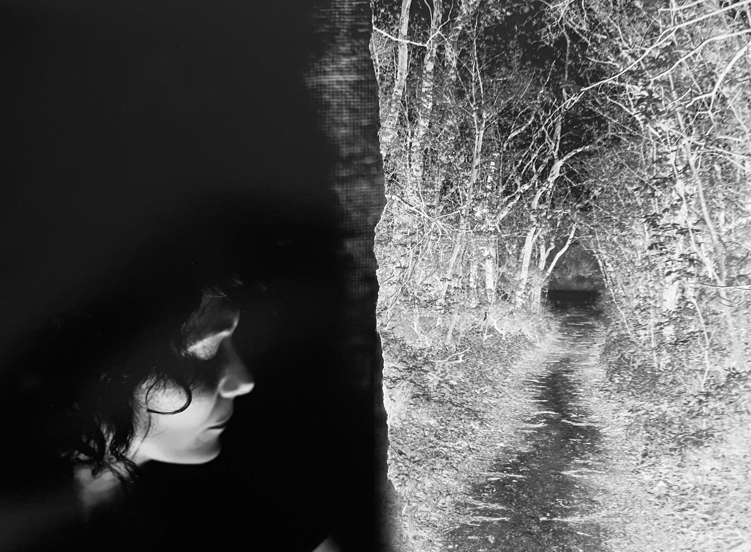 SarahHadley_ThePath_Ahead.jpg