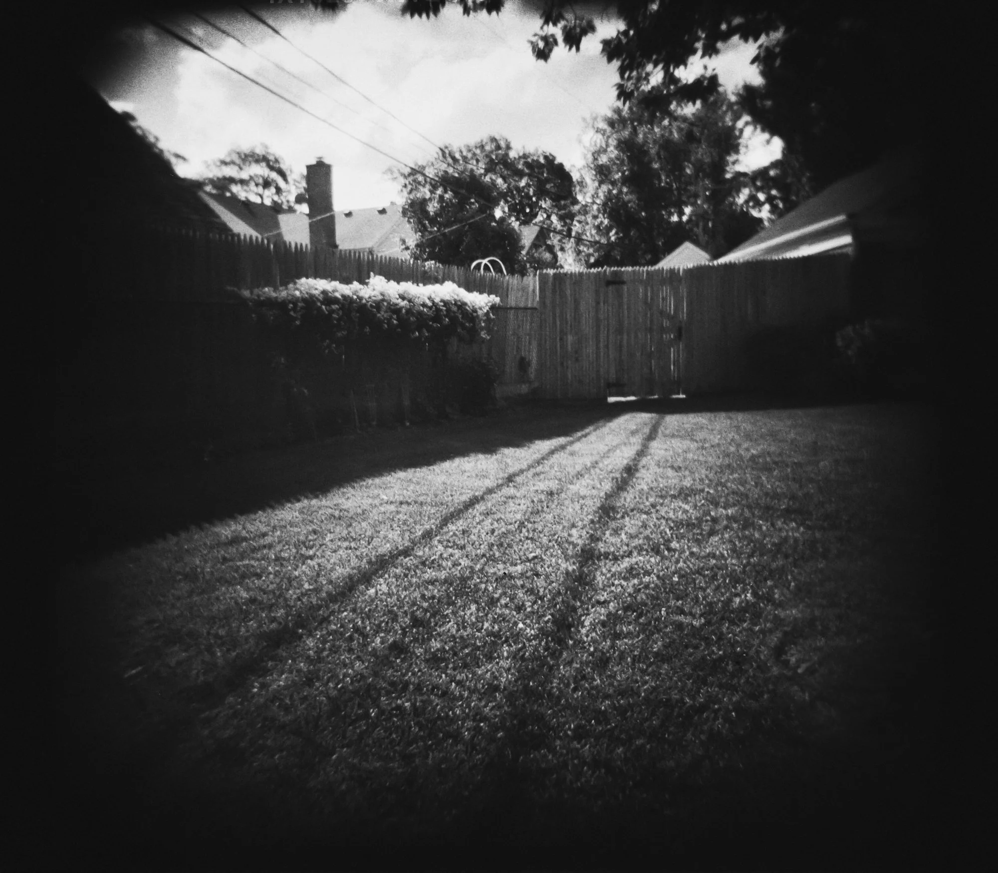 backyard_sepia.jpg