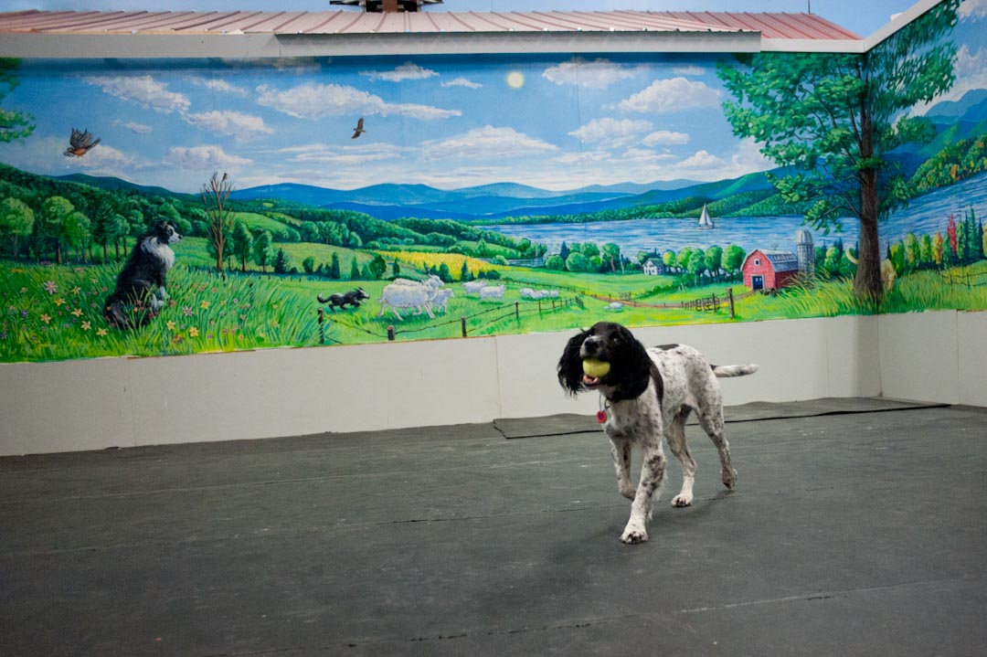 The mural at the Crate Escape, Too in South Burlington