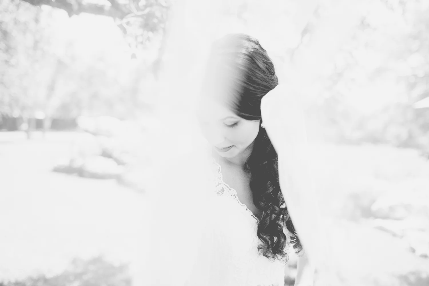 SARA + ANDREW | WEDDING