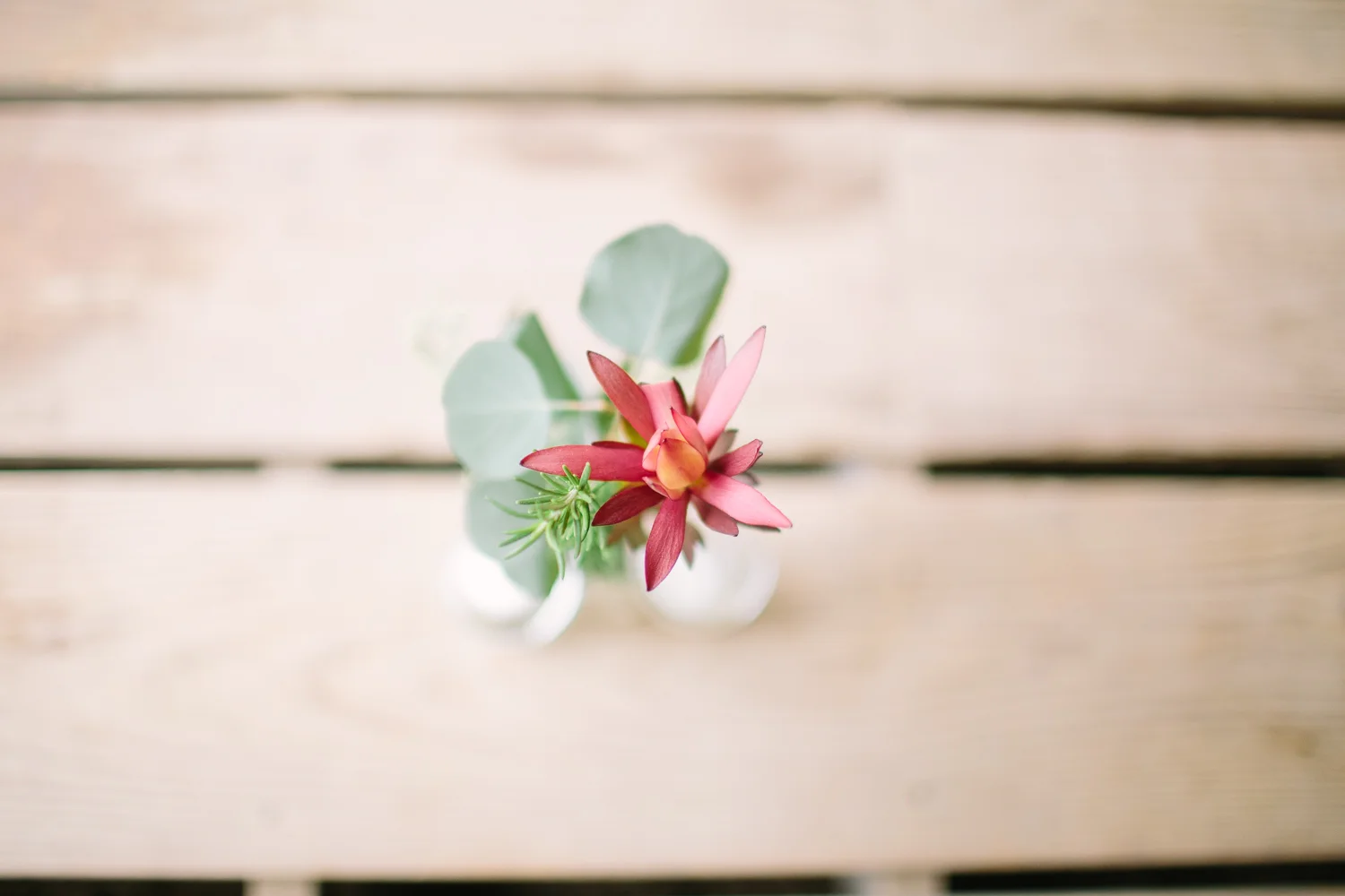 SALLY+ANDREW | WEDDING