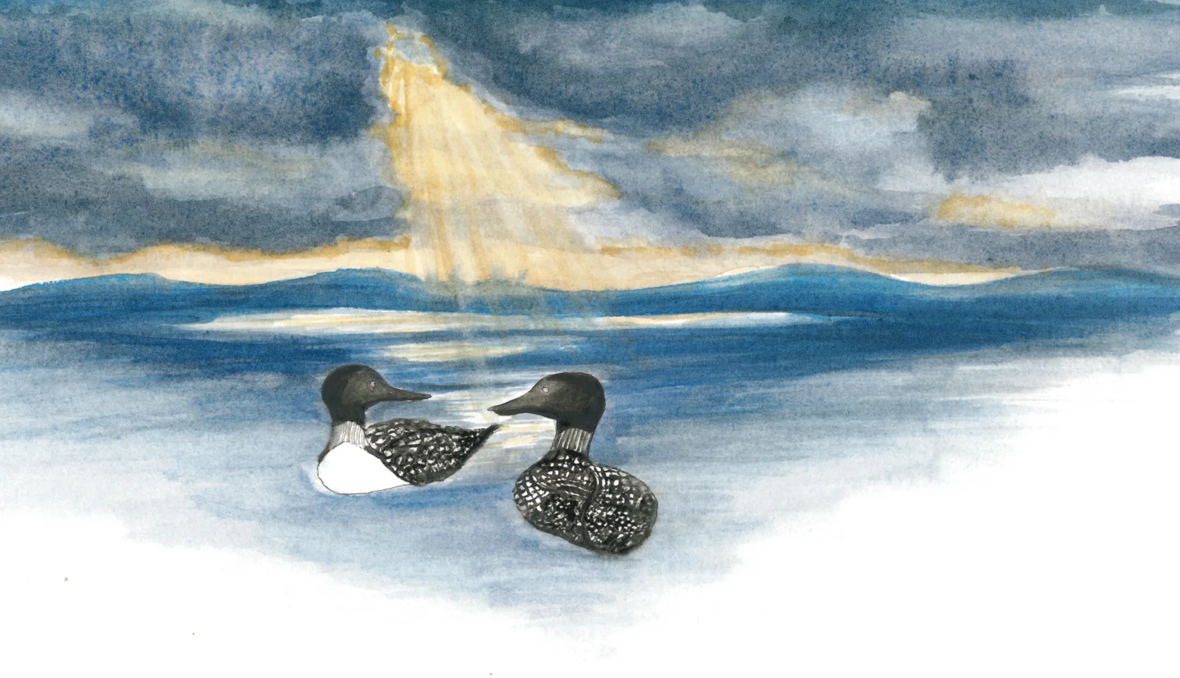 Loon Artwork.jpg