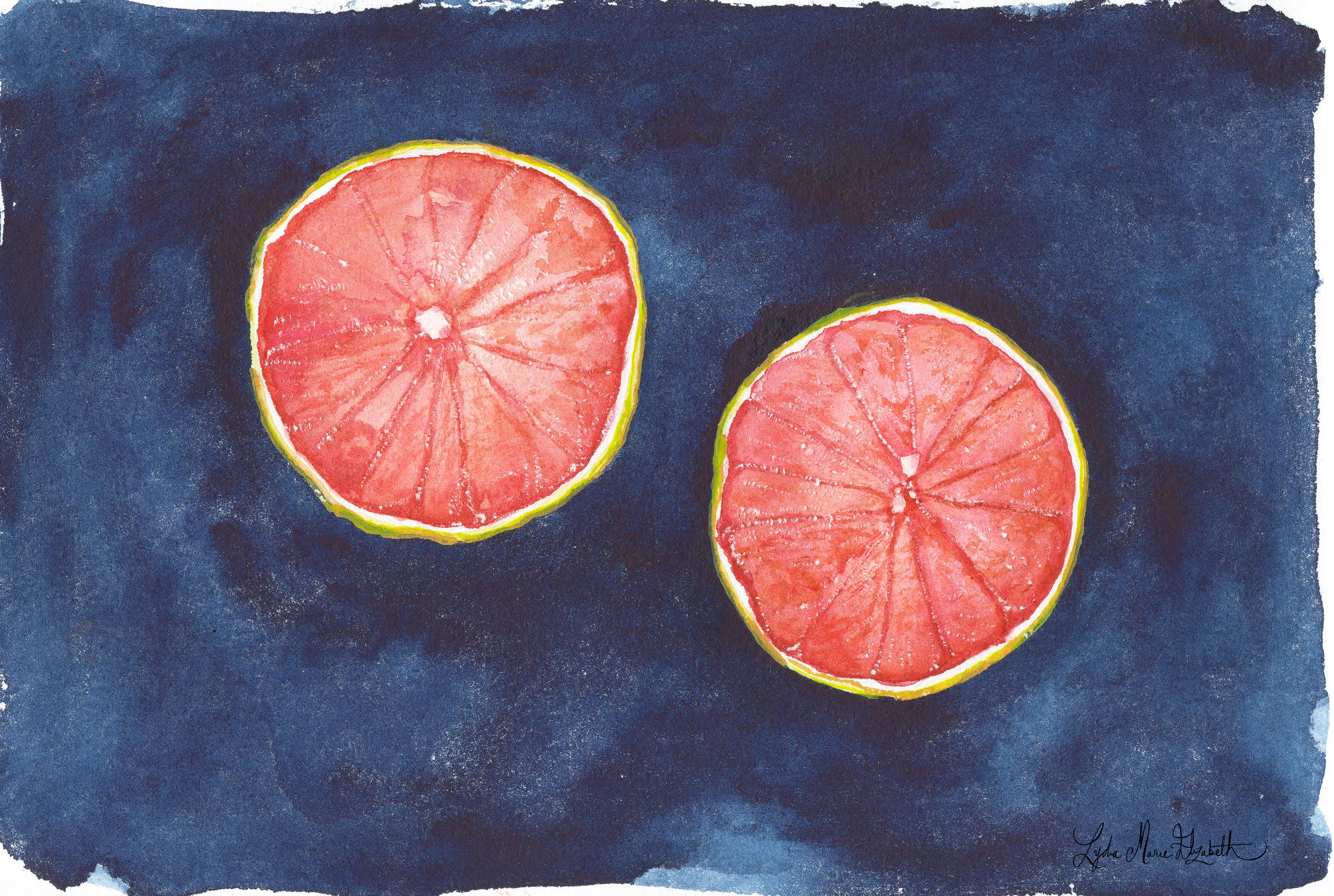 Lydia Marie Elizabeth Winter Series Grapefruit Pamplemousse cut in two watercolor with an inky blue indigo watercolor wash on paper