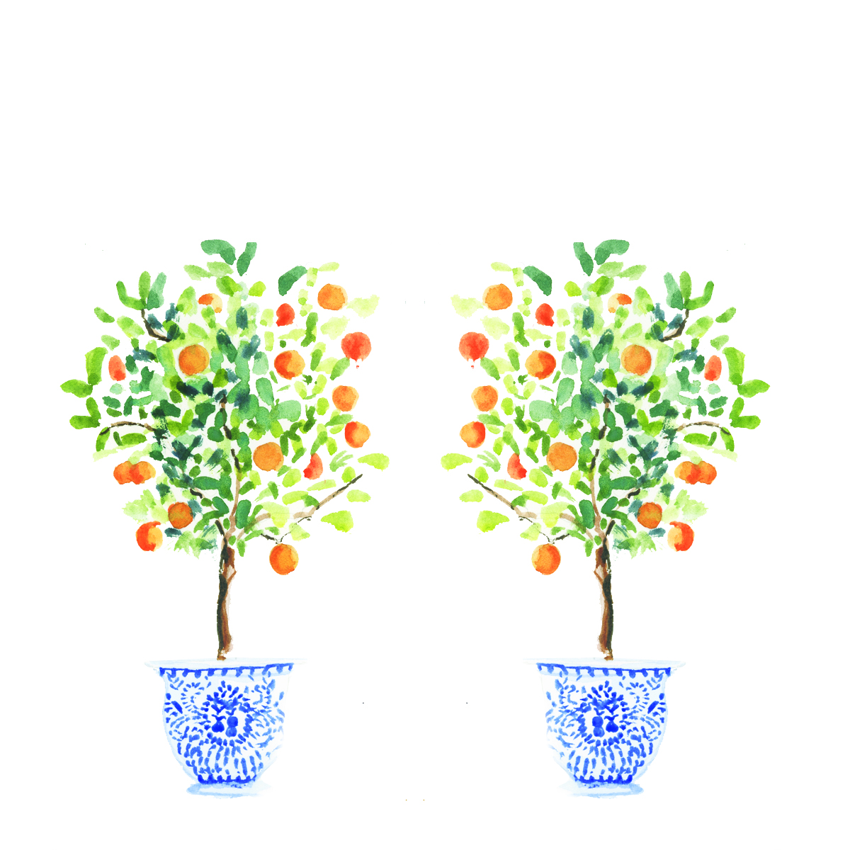 ORANGLE TREES .jpg