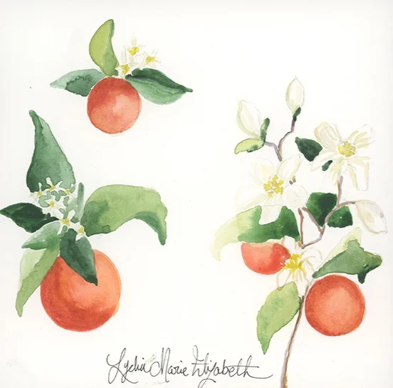 Orange+Blossom.jpg