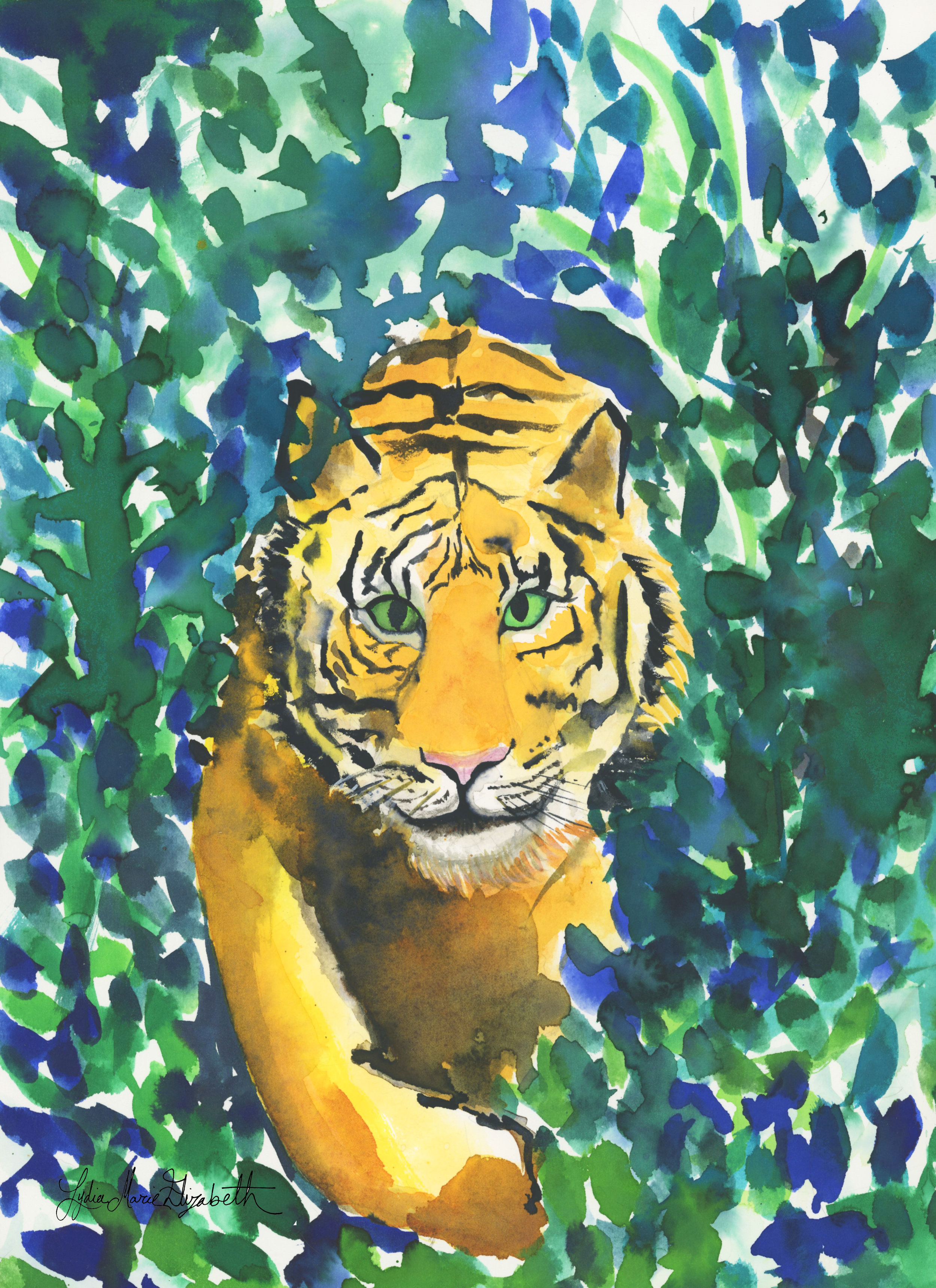 Tiger in the Grass.jpg