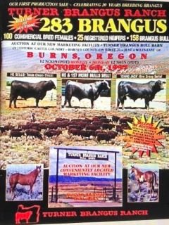 KT - Turner Brangus Ranch sale catalogue 240 x   .jpg