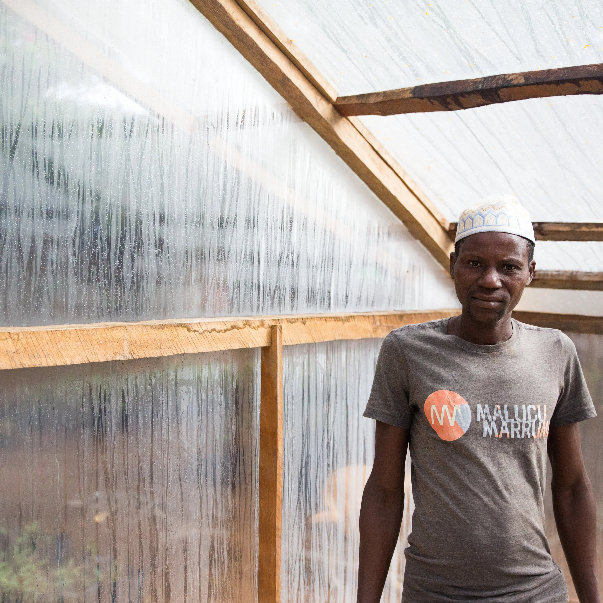 The Nursery For several years we have been applying the principles of permaculture as we have been planting, nurturing and growing a canopy of botanical varieties across the whole of the land.