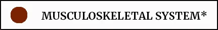 NEW MUSCULOSKELETAL SYSTEM.jpg