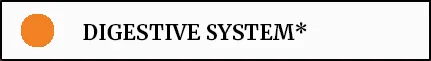 NEW DIGESTIVE SYSTEM.jpg