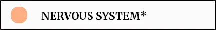 NEW NERVOUS SYSTEM.jpg