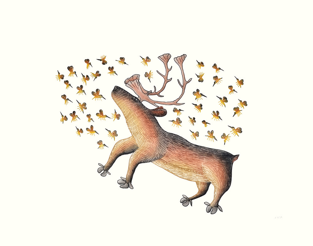 Cee Pootoogook, Summer Buzz