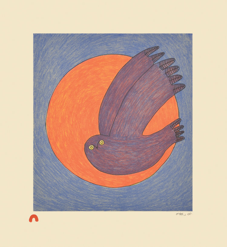 Ningiukulu Teevee, Nocturnal Owl