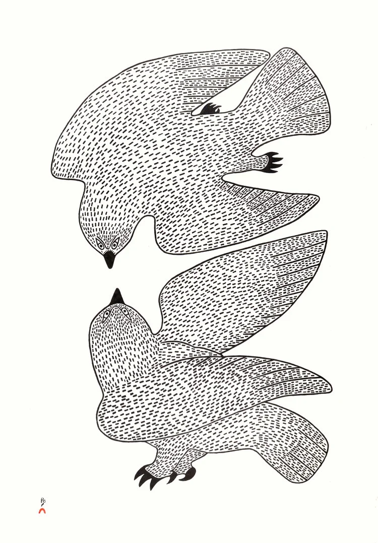 Quvianaqtuk Pudlat, Sparing Owls