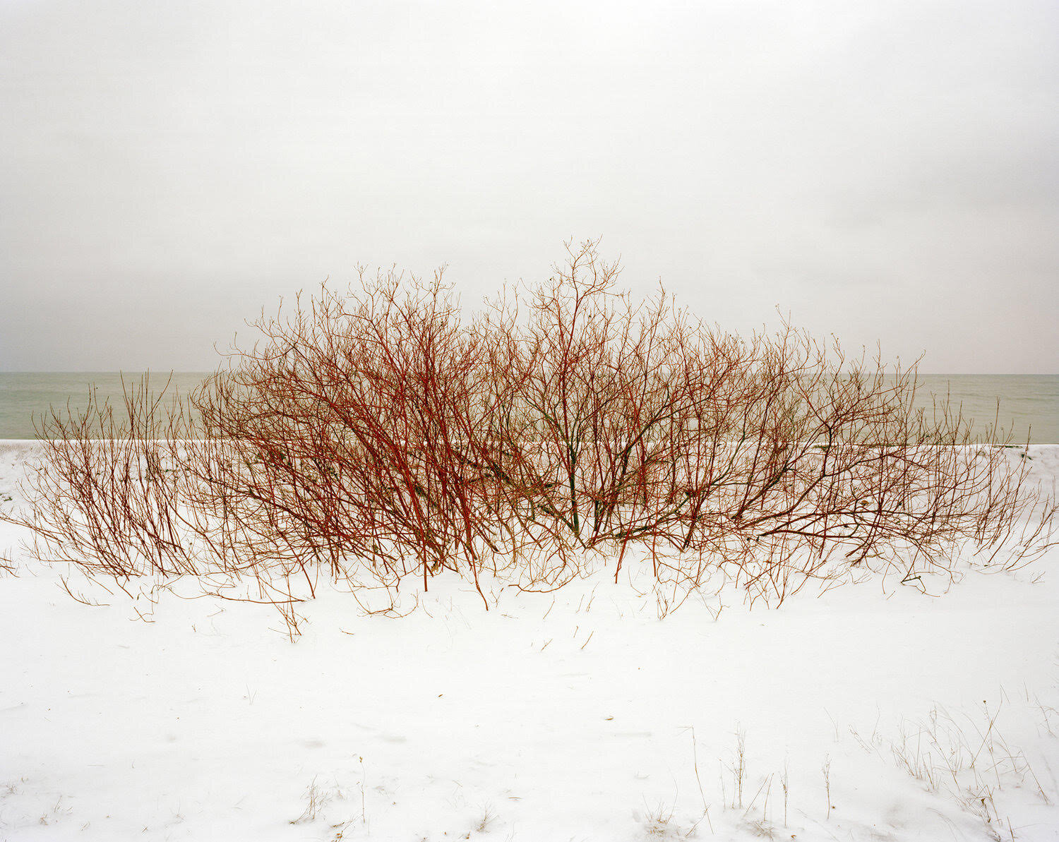 Place to Call Home - Snow 1