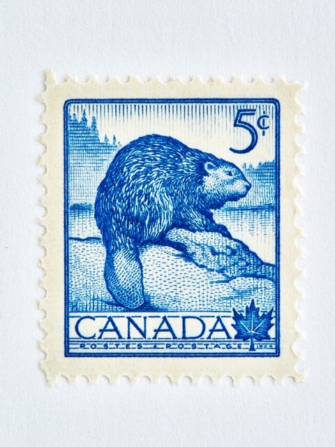 Wildlife Week Stamp - Beaver