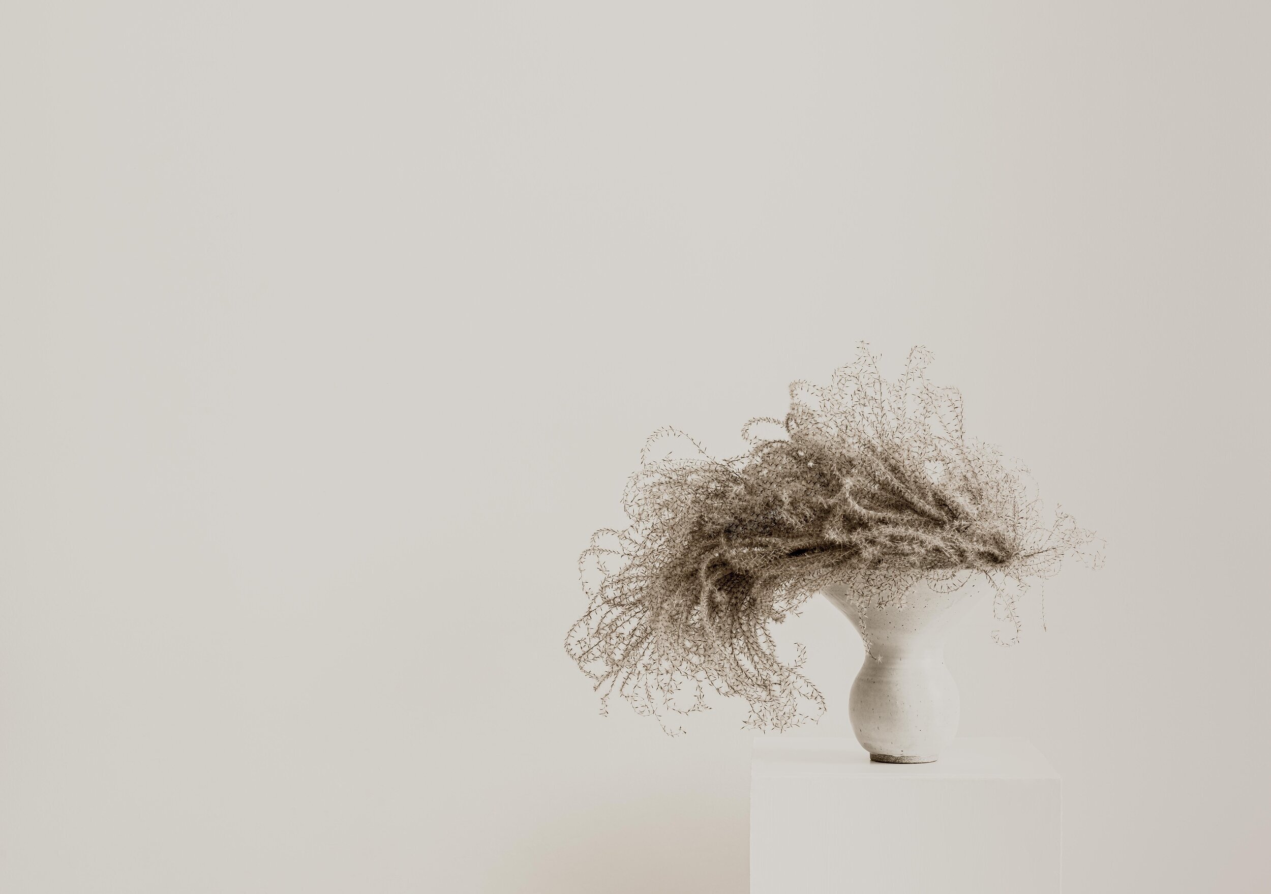 The Necessary Art of Noticing Stillness 1