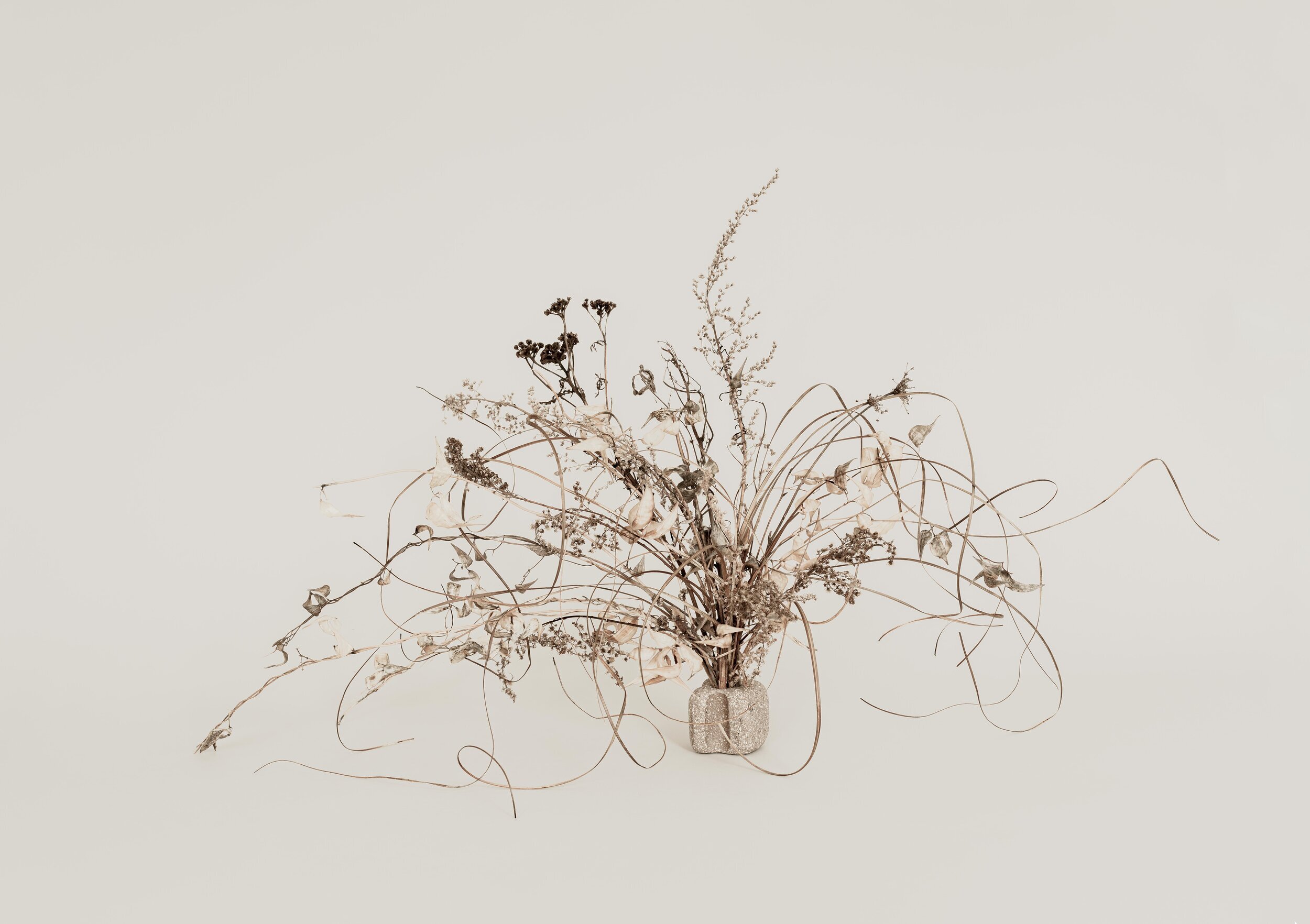 The Necessary Art of Noticing Stillness 2