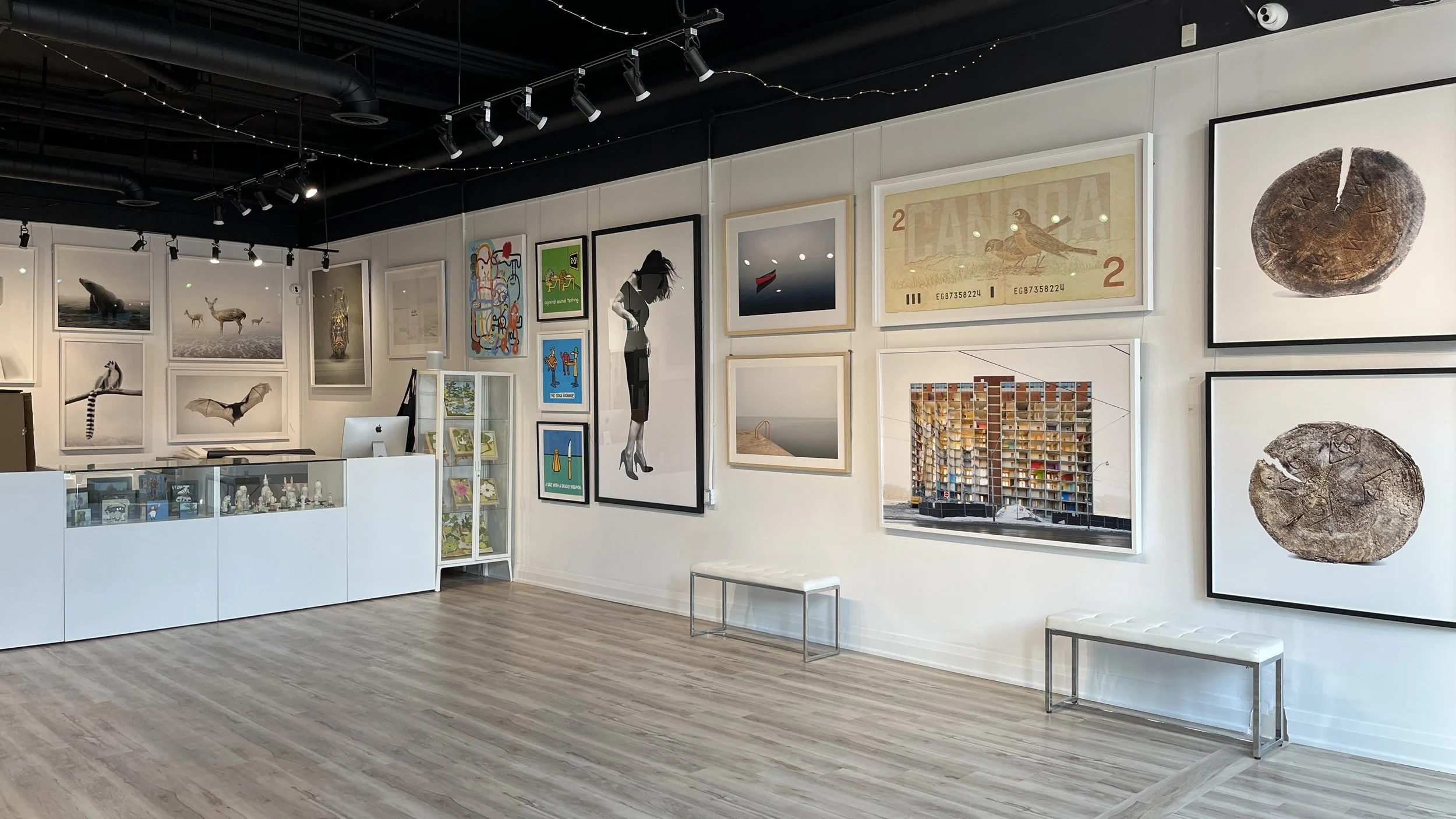 dimensions-custom-framing-gallery-queen-street-east-toronto.jpg