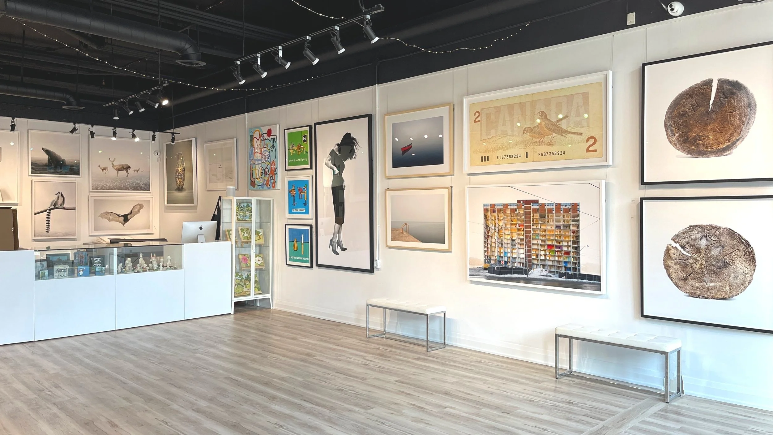 dimensions-custom-framing-gallery-queen-street-east-toronto.jpg