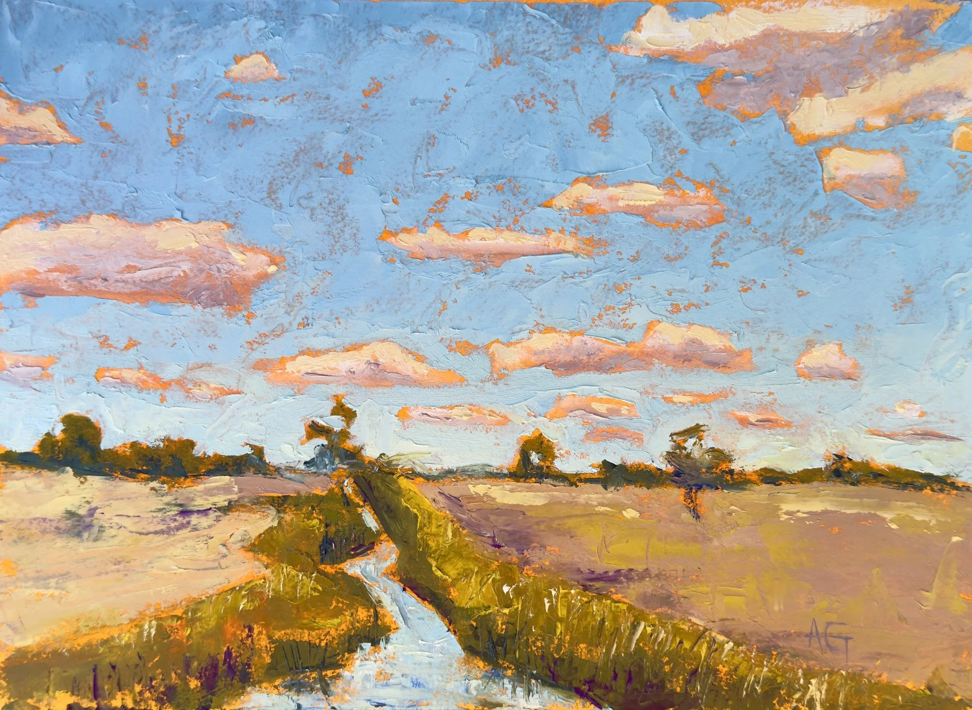 Summer Passing 9x12 Oil on Paper $285