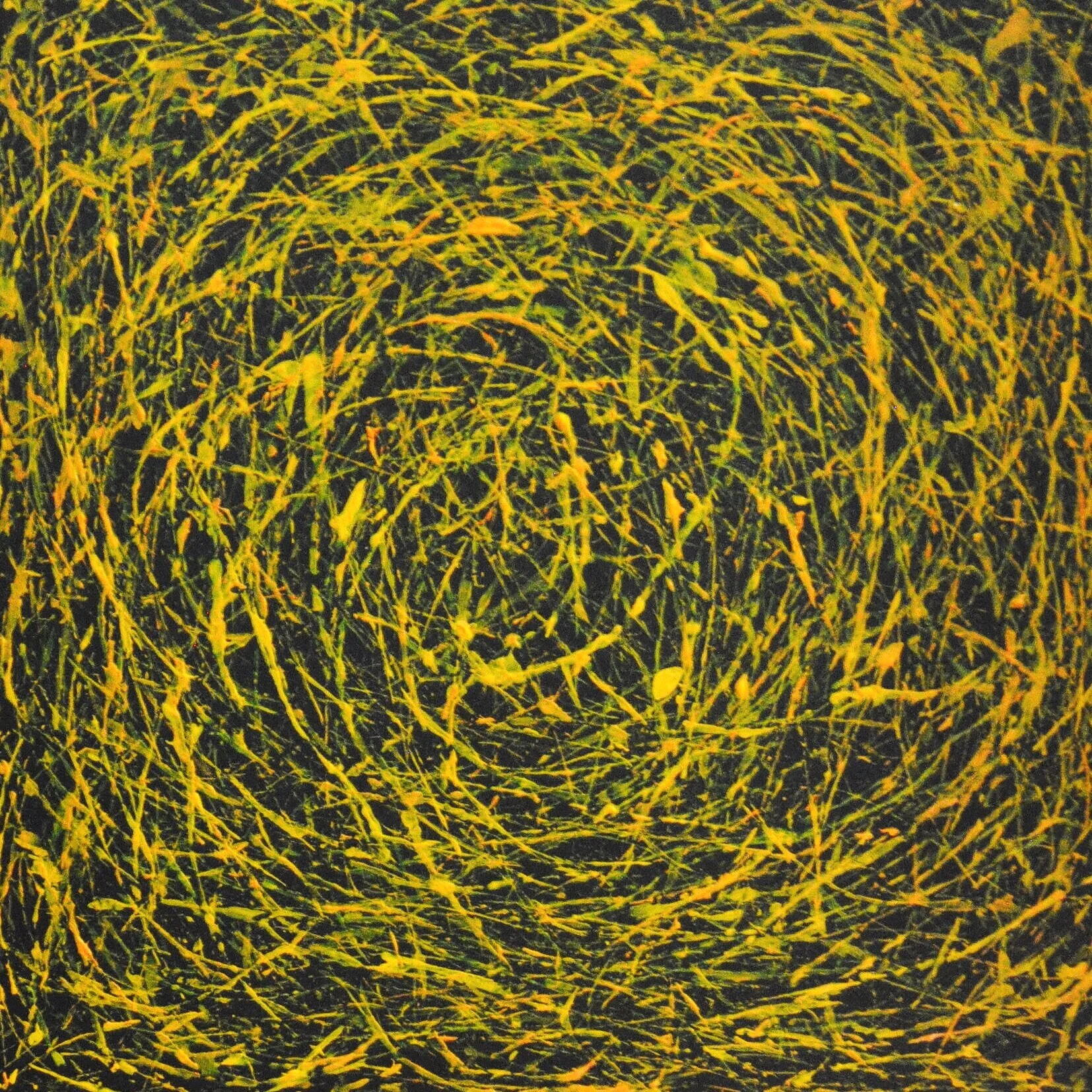 In Case of Stability